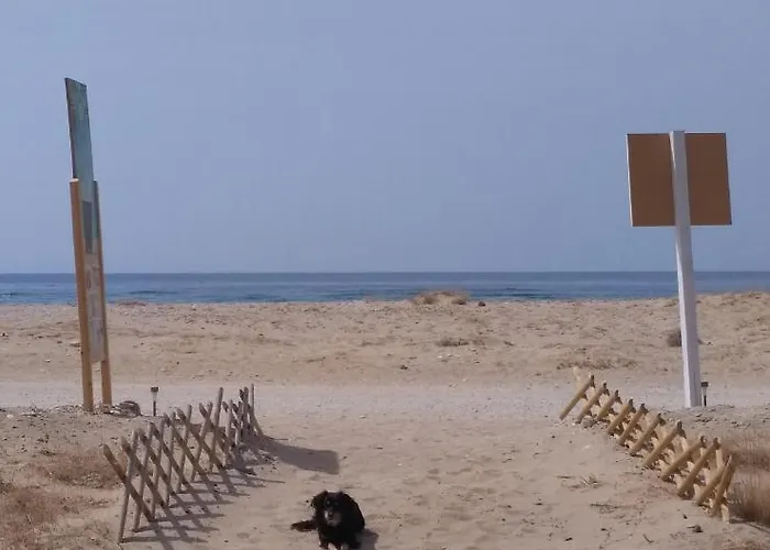 Апартаменты Anastasia